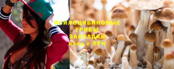хмурый Абинск