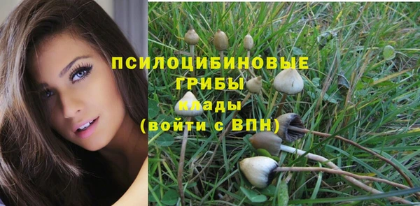 MDMA Алексеевка