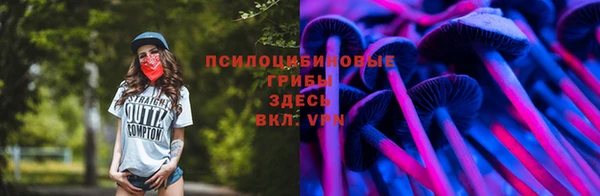 хмурый Абинск