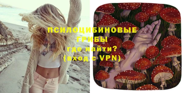ПСИЛОЦИБИНОВЫЕ ГРИБЫ Надым