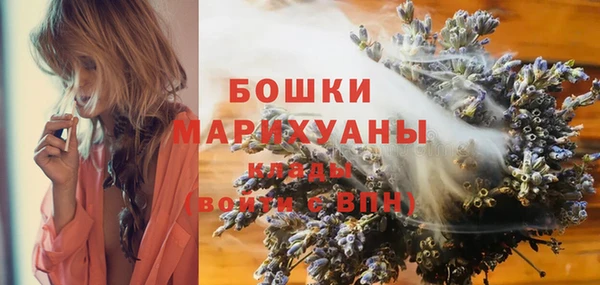 ECSTASY Абаза