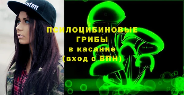 ECSTASY Абаза